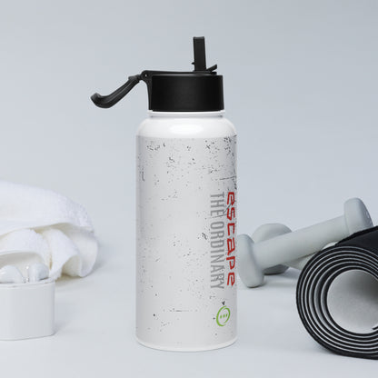 Stainless steel water bottle with a straw lid